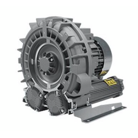 FPZ SCL R20MD-1.5-115/230, 1.5 HP, 1-Phase Regenerative Blower