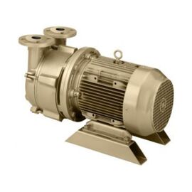 Dekker DV0060D-MA3-SGL, 5.5 HP Single-Stage Motor-Mounted Liquid Ring Vacuum Pump, 60 ACFM