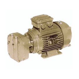 Dekker DV0006B-MA5, 0.75 HP Single-Stage Motor-Mounted Liquid Ring Vacuum Pump, 6 ACFM