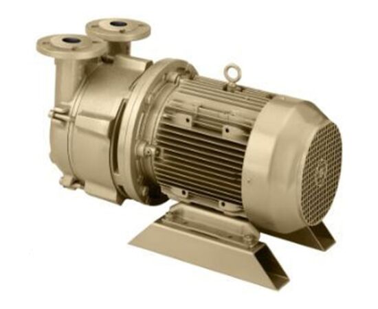 Dekker DV0100D-MA3-SGL, 7.5 HP Single-Stage Motor-Mounted Liquid Ring Vacuum Pump, 100 CFM