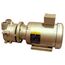 Dekker DV0035D-MA3-SGL, 3 HP Single-Stage Motor-Mounted Liquid Ring Vacuum Pump, 35 ACFM