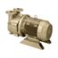 Dekker DV0150D-MA3-SGL, 10 HP Single-Stage Motor-Mounted Liquid Ring Vacuum Pump, 150 CFM