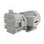DVP SC 12, 0.6 HP Oilfree Rotary Vane Vacuum Pump, 8.2 CFM, 26.38"HgV, 208-/230/460/3/60, 9801029/TX